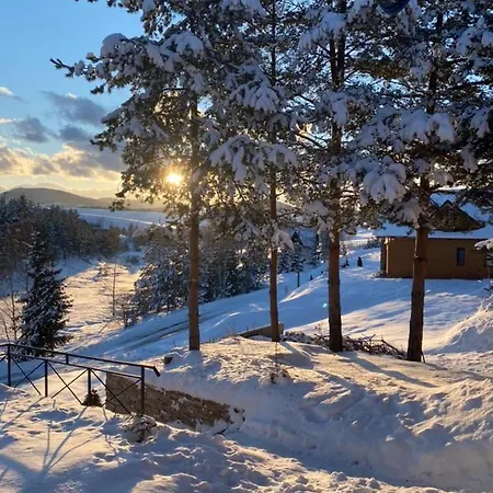 Pine Hébergement de vacances *