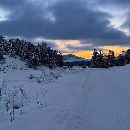 Hébergement de vacances Pine Zlatibor