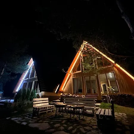 Pine Holiday home