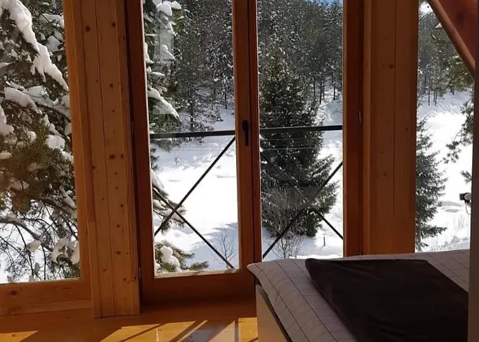 Pine Prázdninový dům Zlatibor