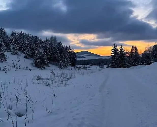 Prázdninový dům Pine Zlatibor